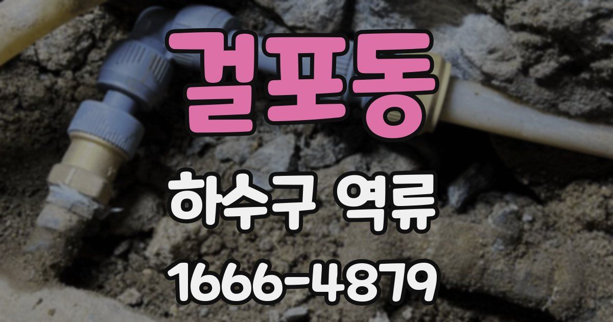 걸포동 하수구 역류