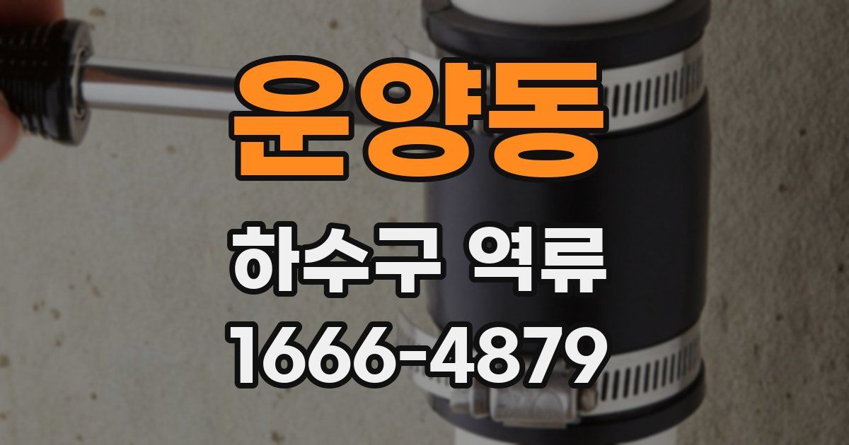 운양동 하수구 역류