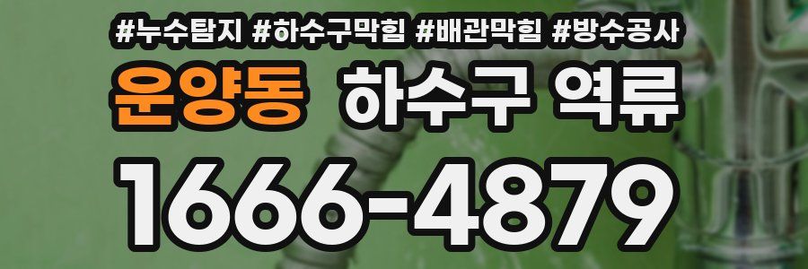 운양동 하수구 역류