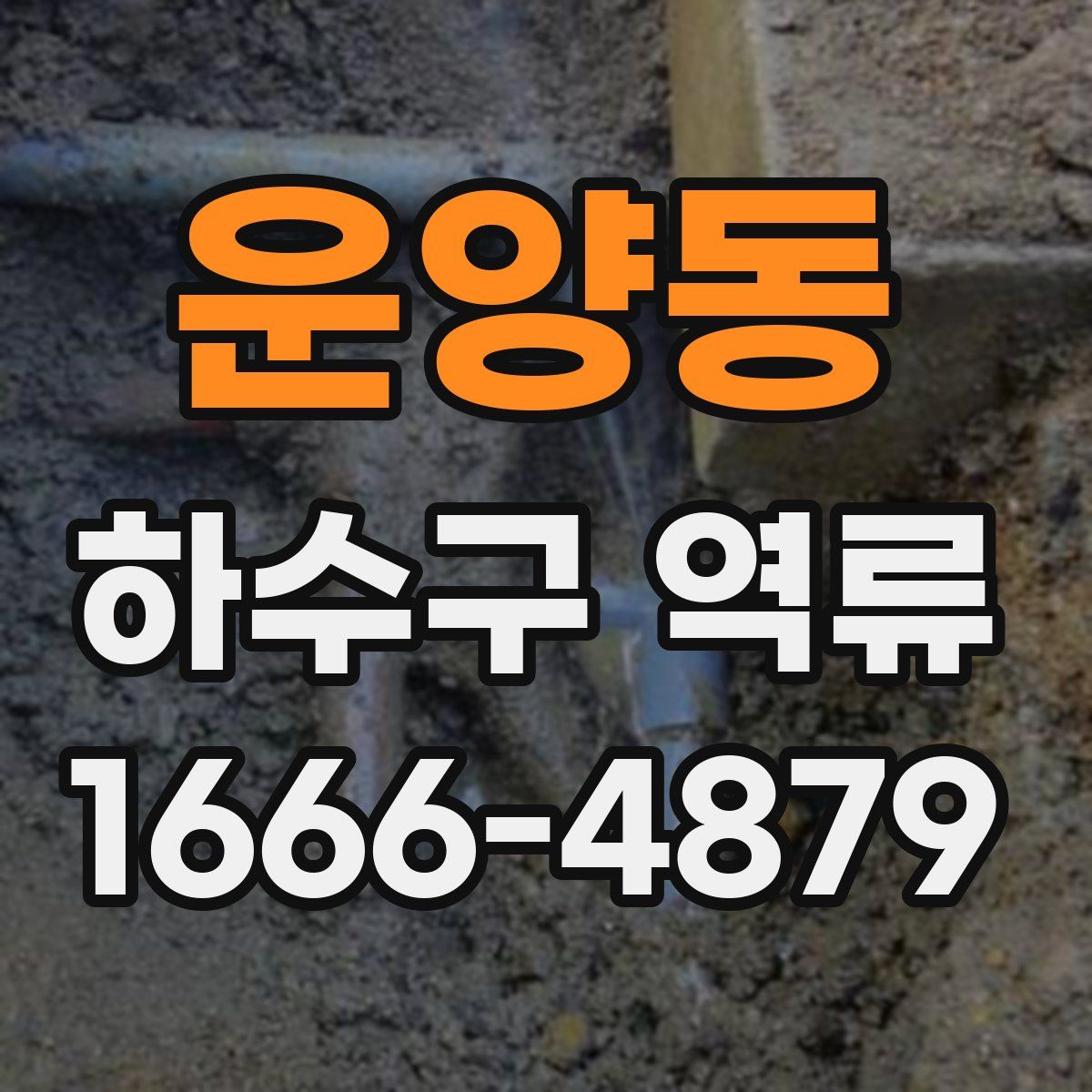 운양동 하수구 역류