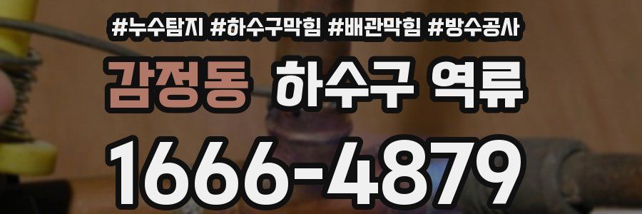 감정동 하수구 역류