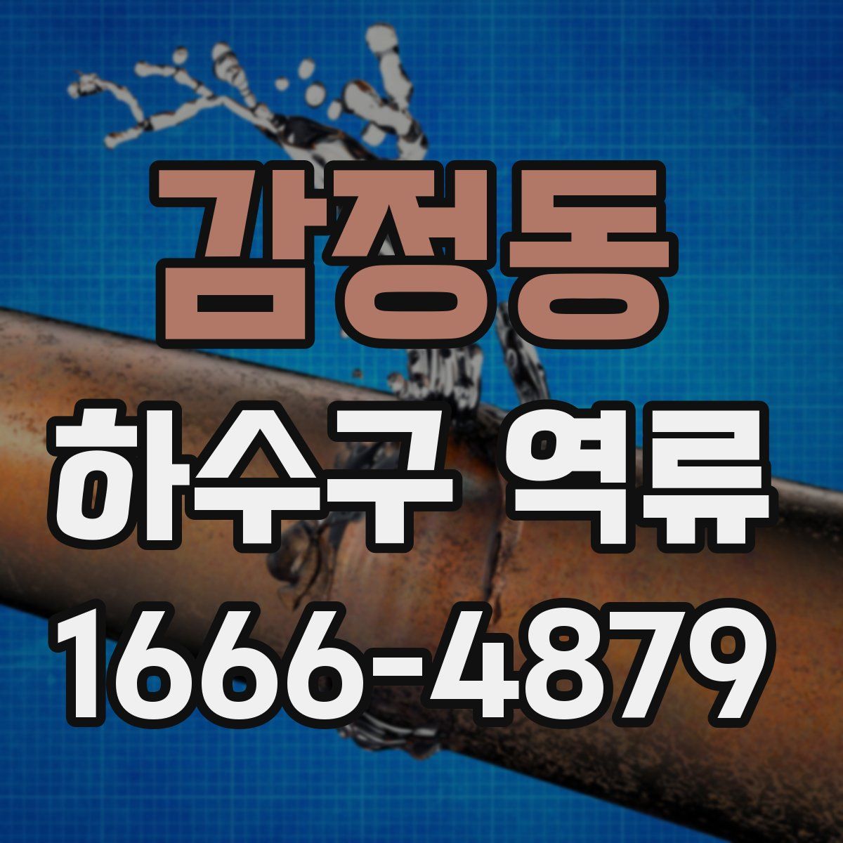 감정동 하수구 역류