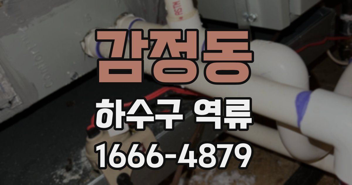 감정동 하수구 역류