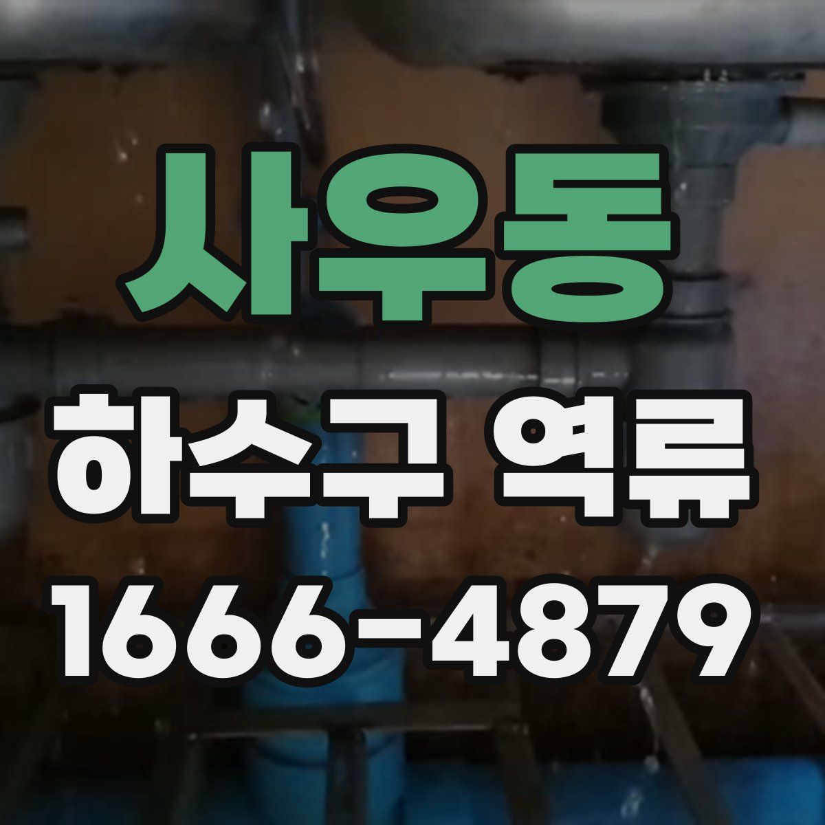 사우동 하수구 역류