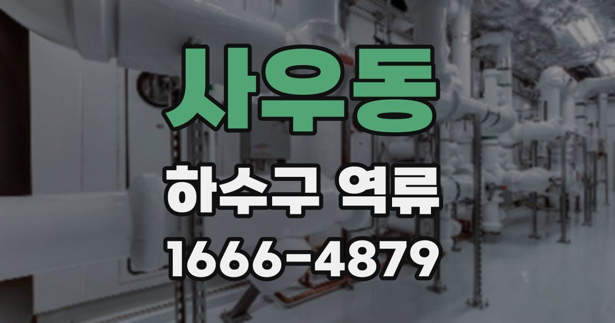 사우동 하수구 역류