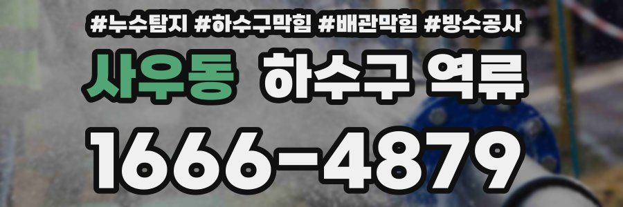 사우동 하수구 역류