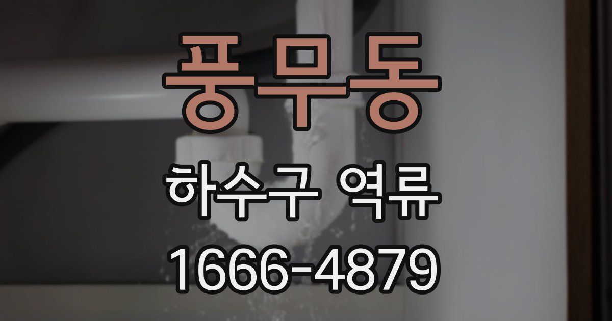 풍무동 하수구 역류