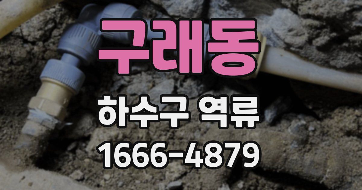 구래동 하수구 역류