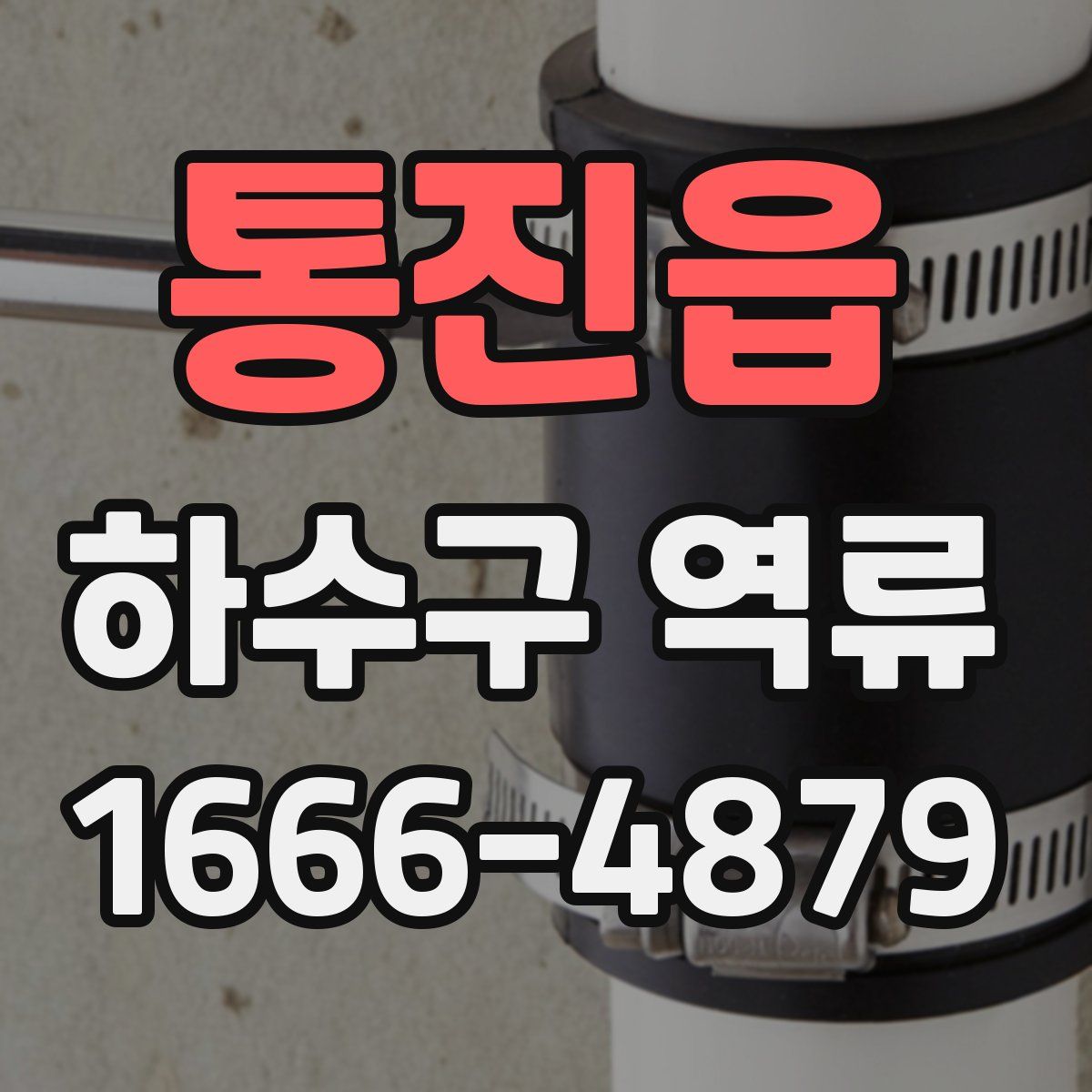 통진읍 하수구 역류