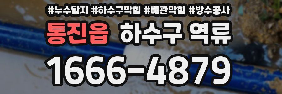 통진읍 하수구 역류