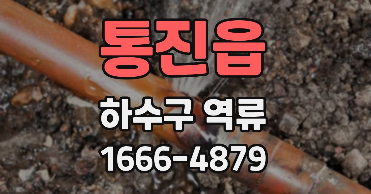 통진읍 하수구 역류