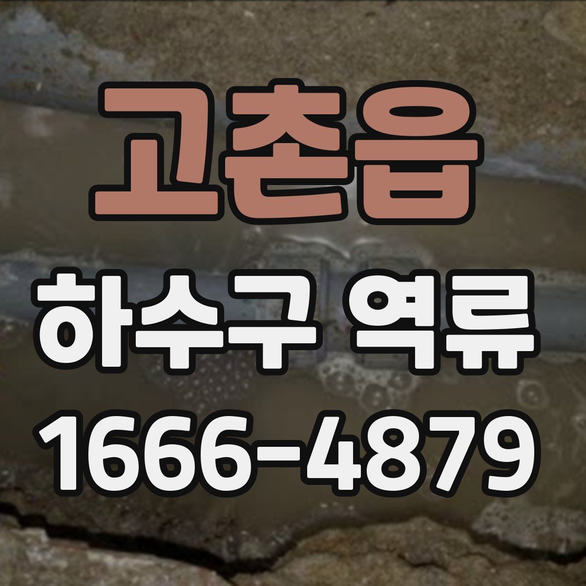 고촌읍 하수구 역류