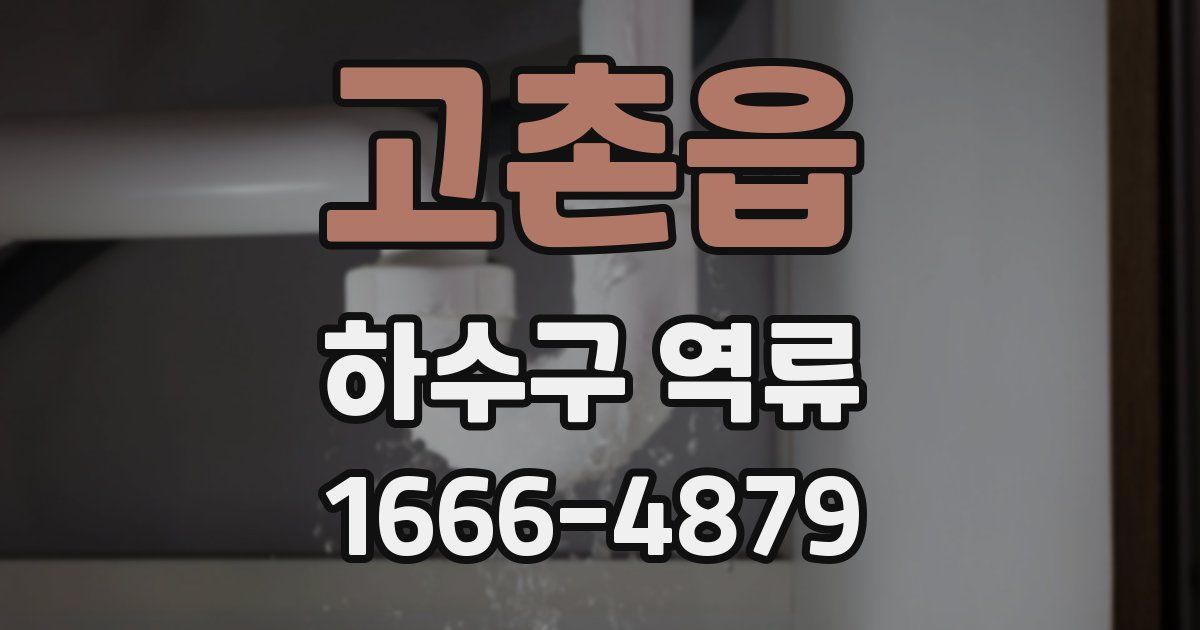 고촌읍 하수구 역류