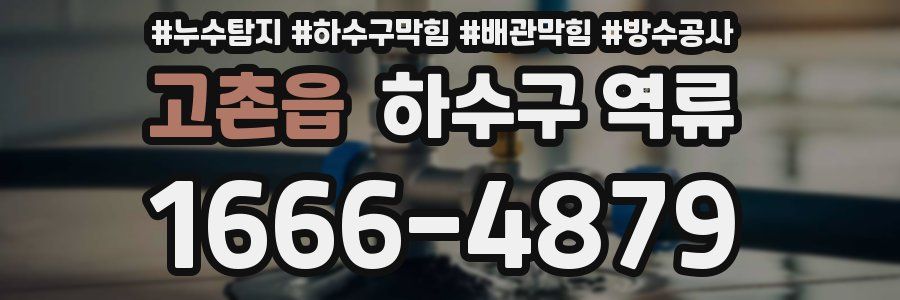 고촌읍 하수구 역류