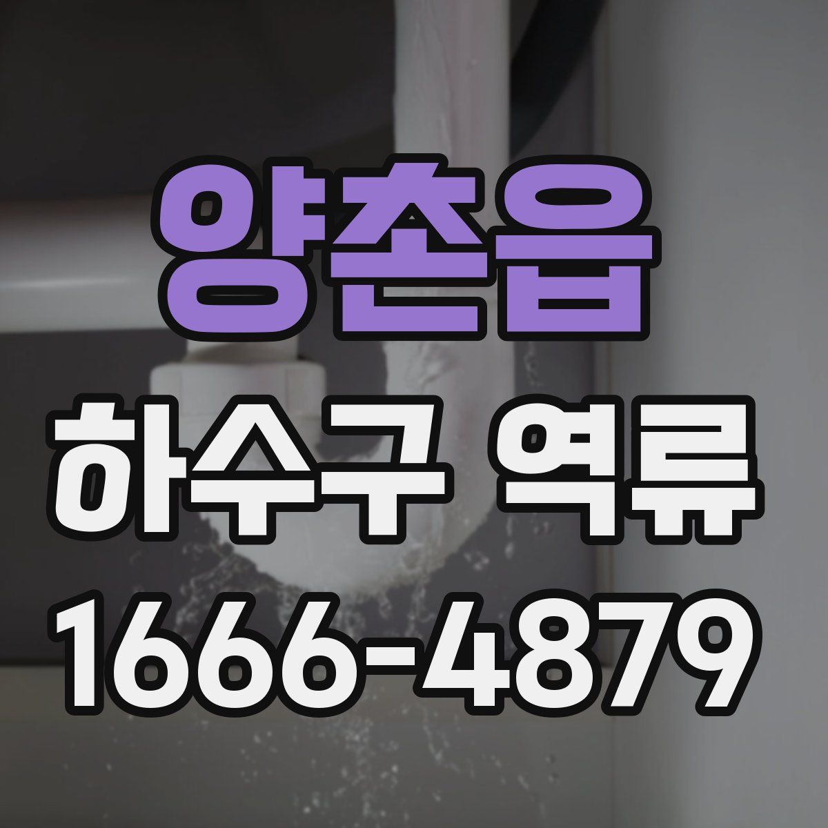 양촌읍 하수구 역류