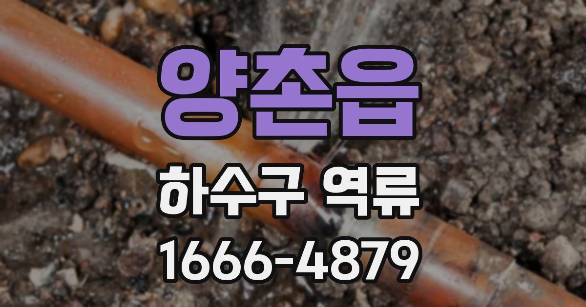 양촌읍 하수구 역류
