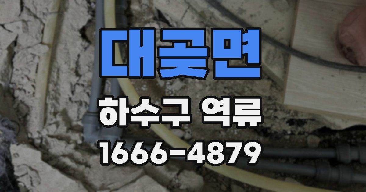 대곶면 하수구 역류