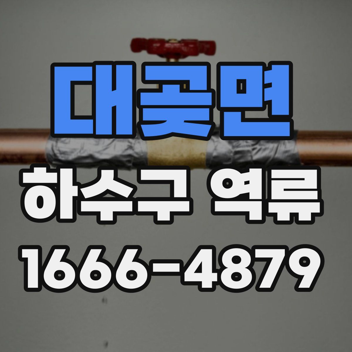 대곶면 하수구 역류