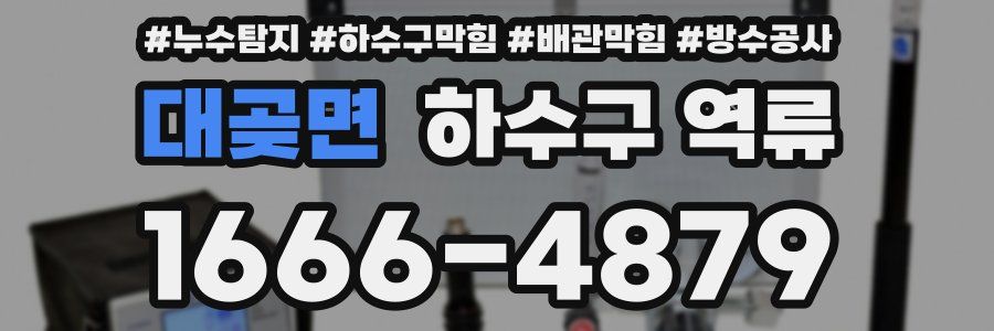 대곶면 하수구 역류