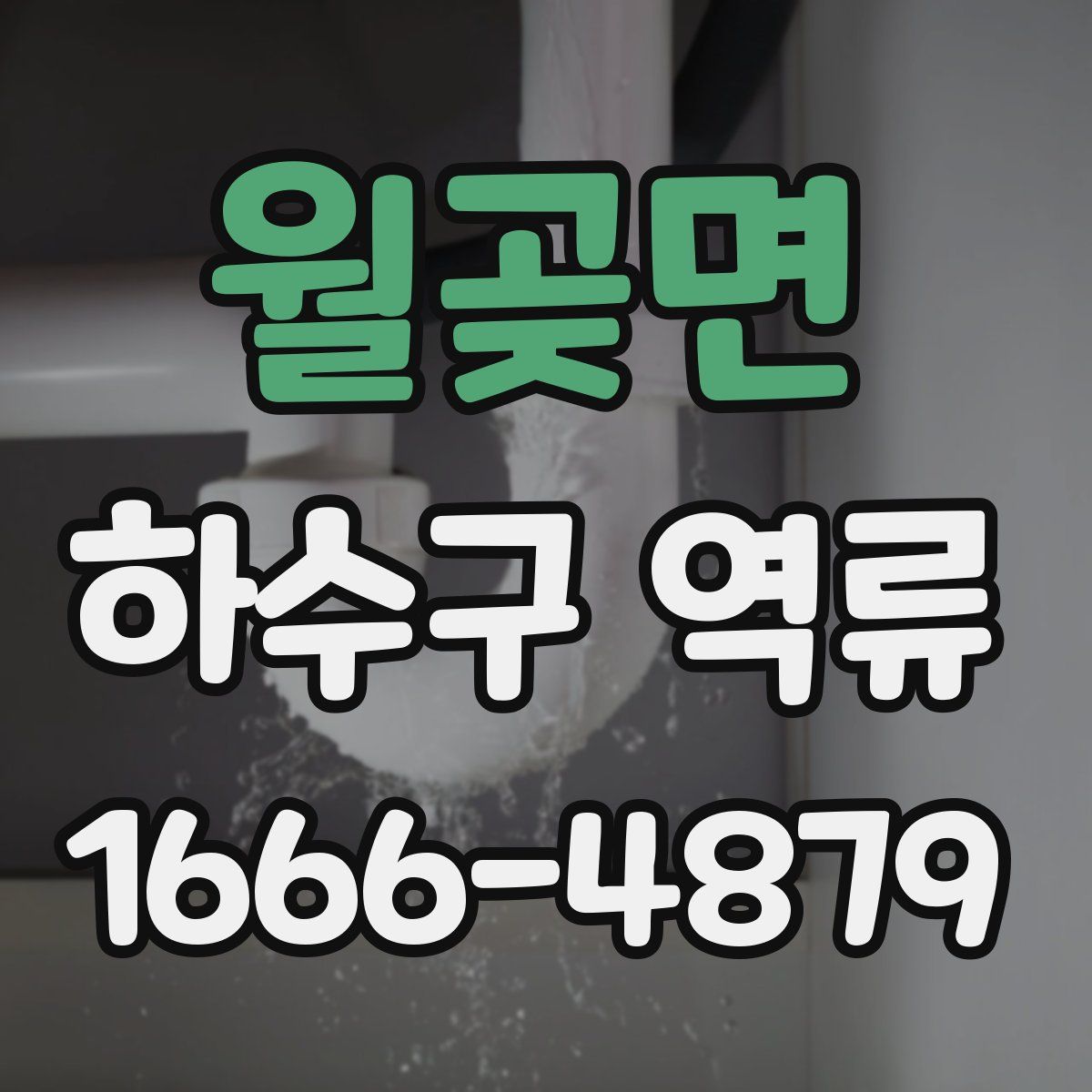 월곶면 하수구 역류