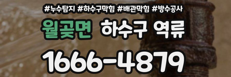 월곶면 하수구 역류
