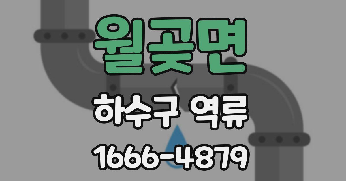 월곶면 하수구 역류