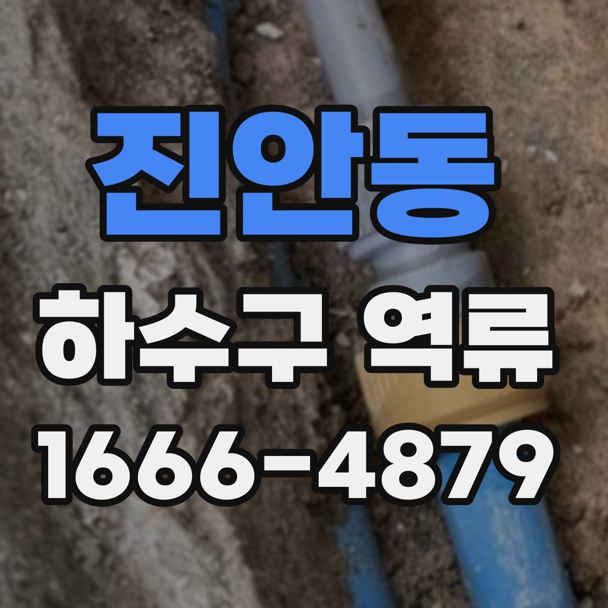 진안동 하수구 역류