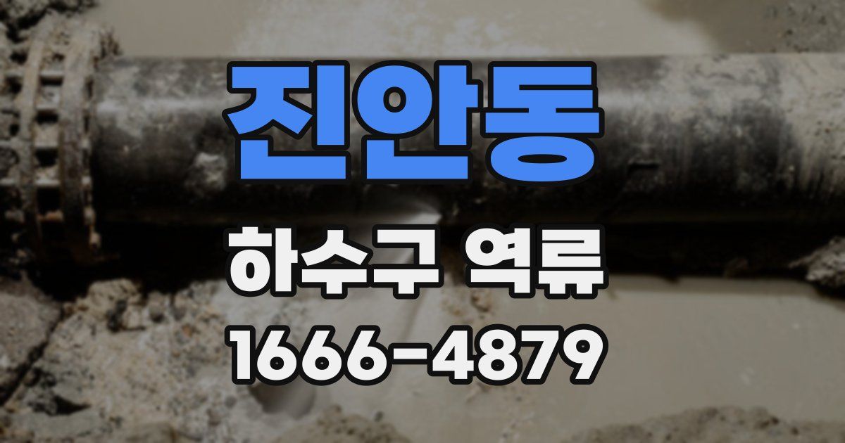 진안동 하수구 역류