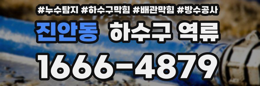 진안동 하수구 역류