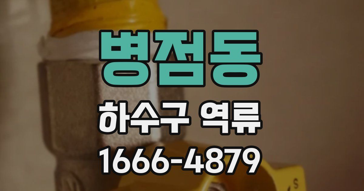 병점동 하수구 역류