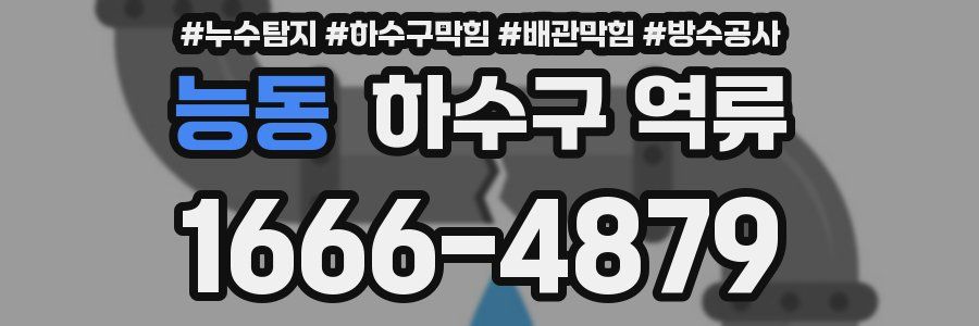 능동 하수구 역류