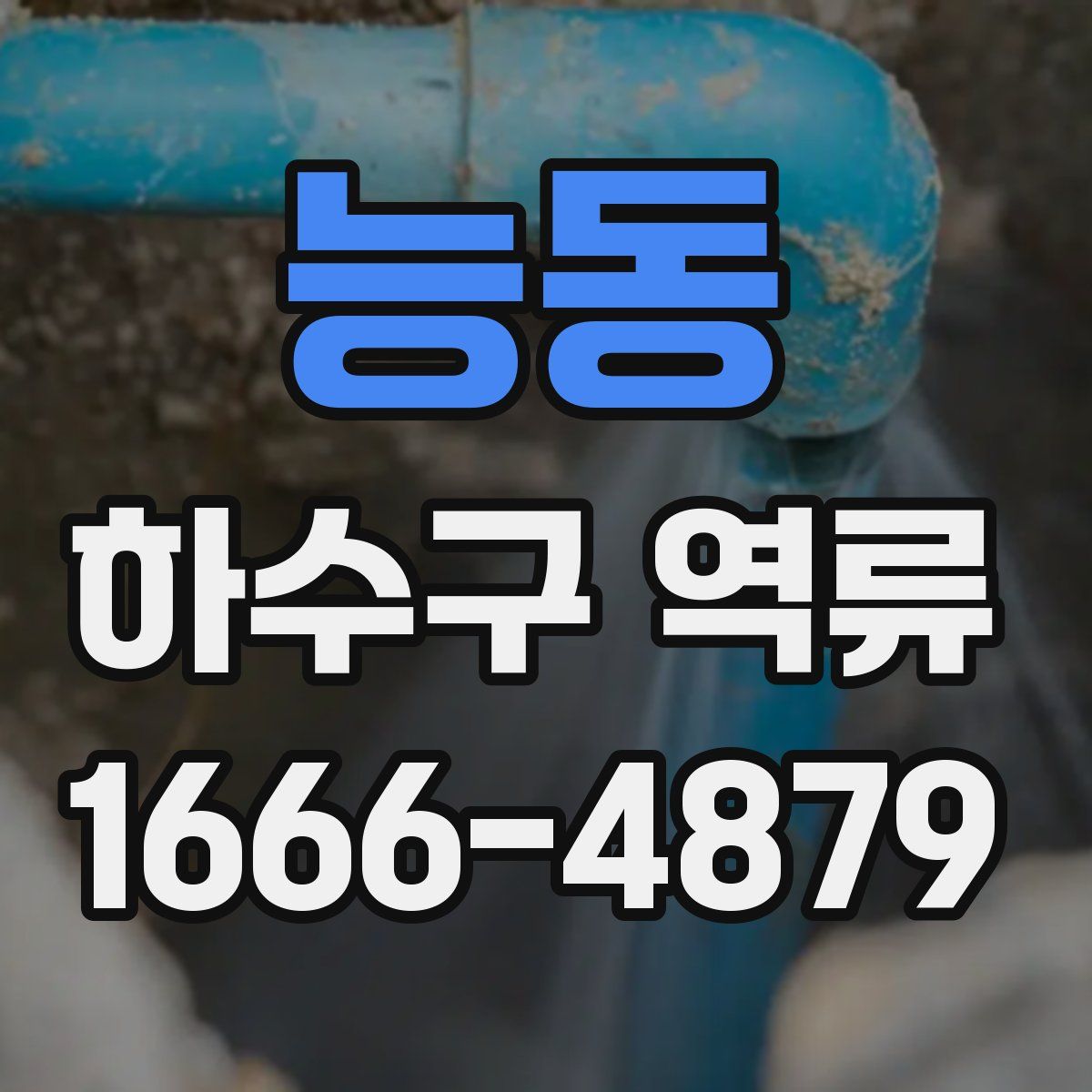 능동 하수구 역류