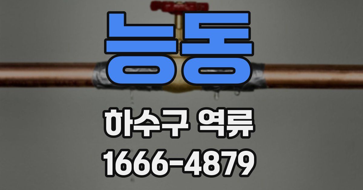 능동 하수구 역류