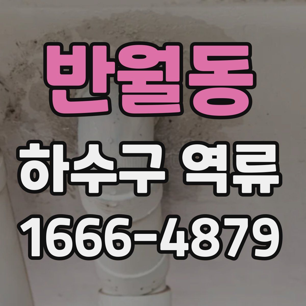 반월동 하수구 역류