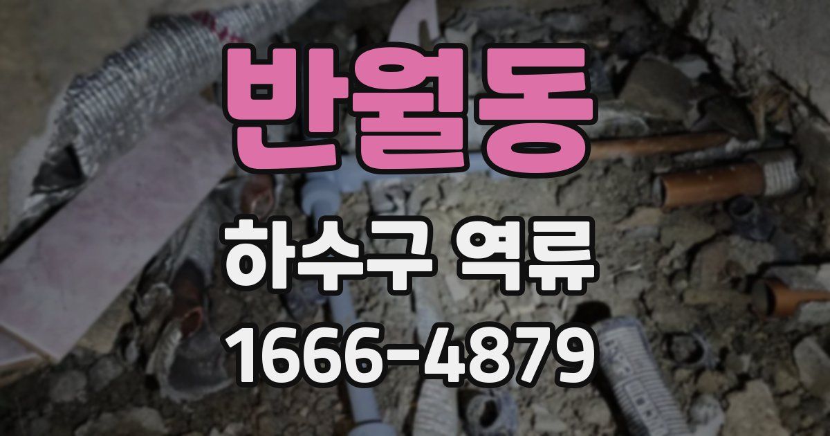 반월동 하수구 역류