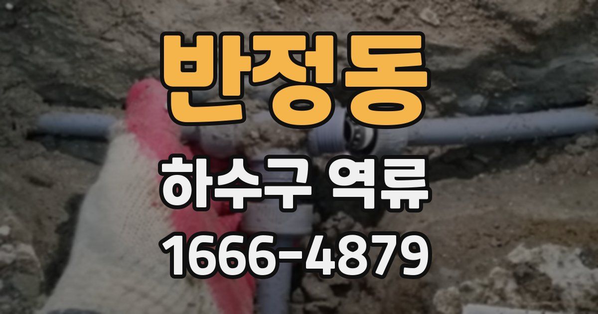 반정동 하수구 역류