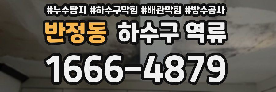 반정동 하수구 역류