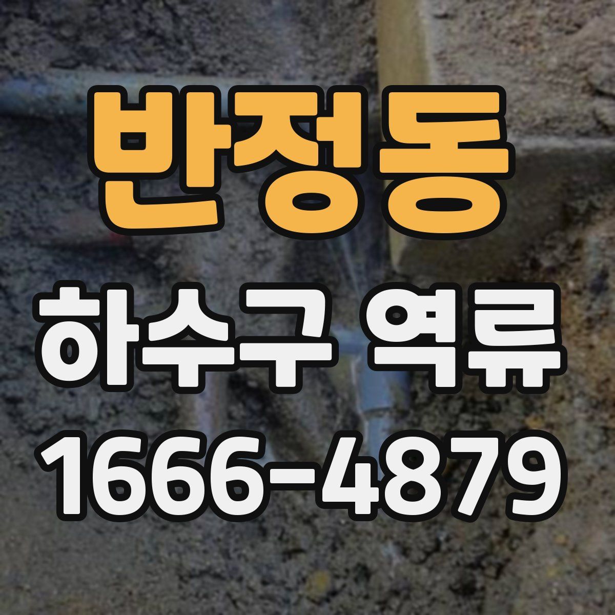 반정동 하수구 역류