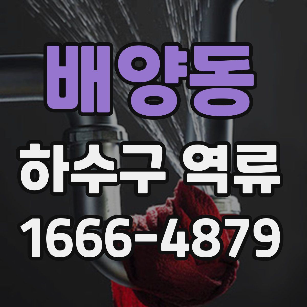 배양동 하수구 역류