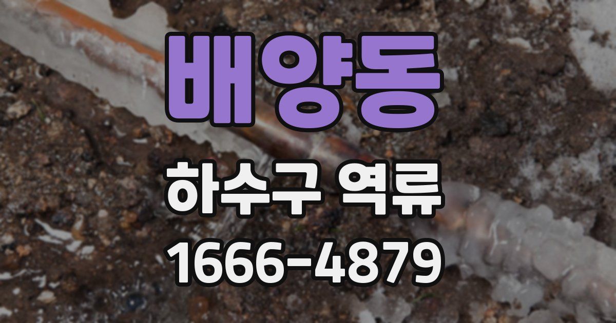 배양동 하수구 역류