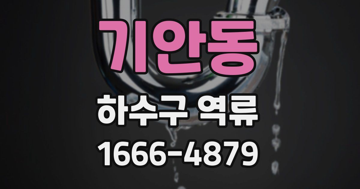 기안동 하수구 역류