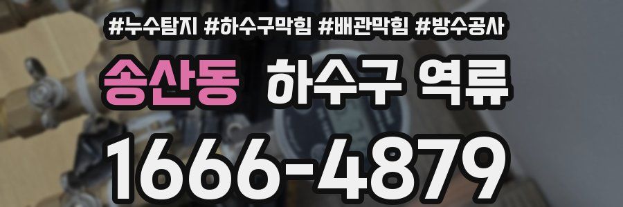 송산동 하수구 역류