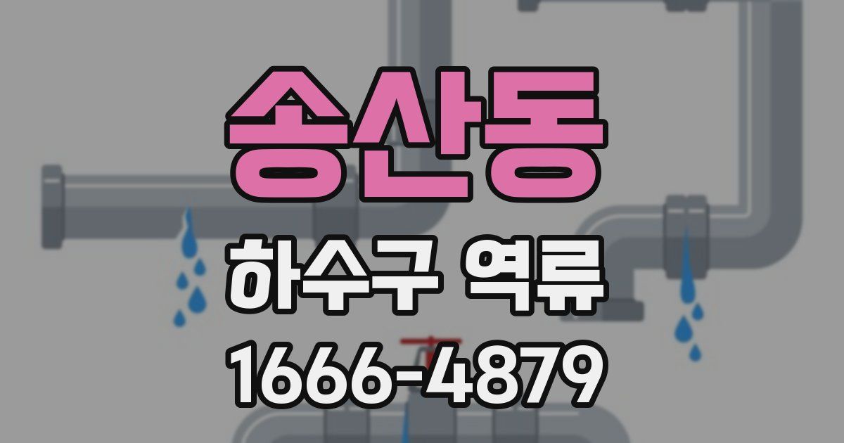 송산동 하수구 역류
