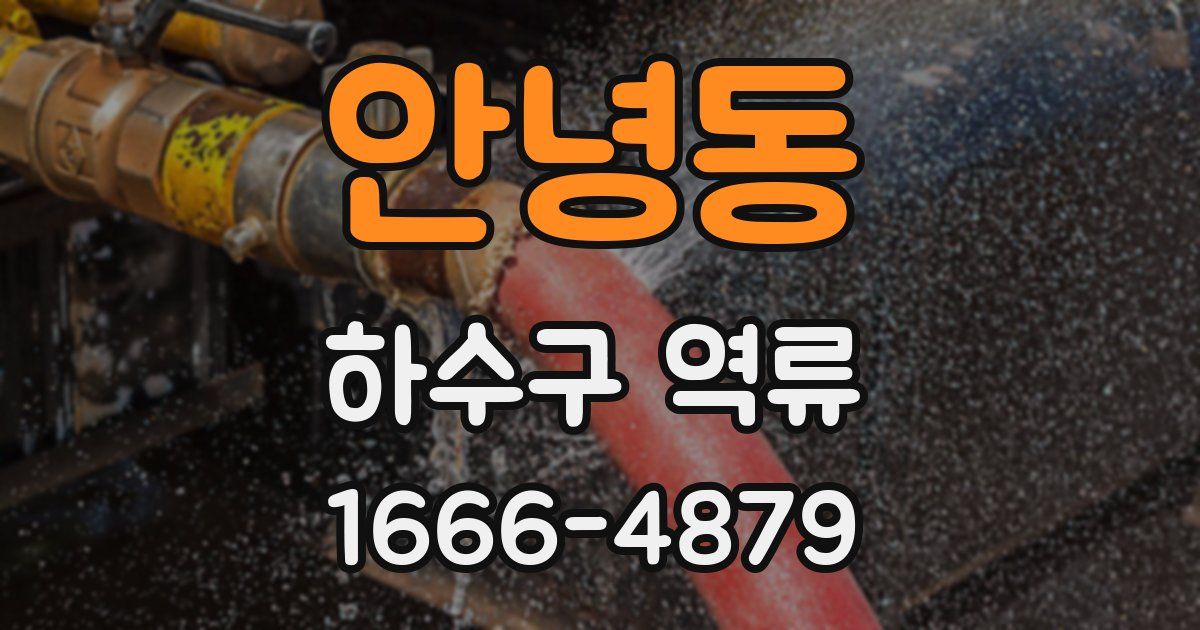 안녕동 하수구 역류