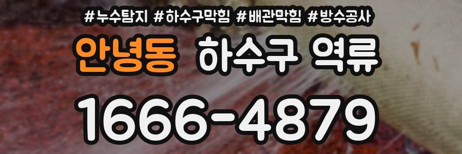 안녕동 하수구 역류