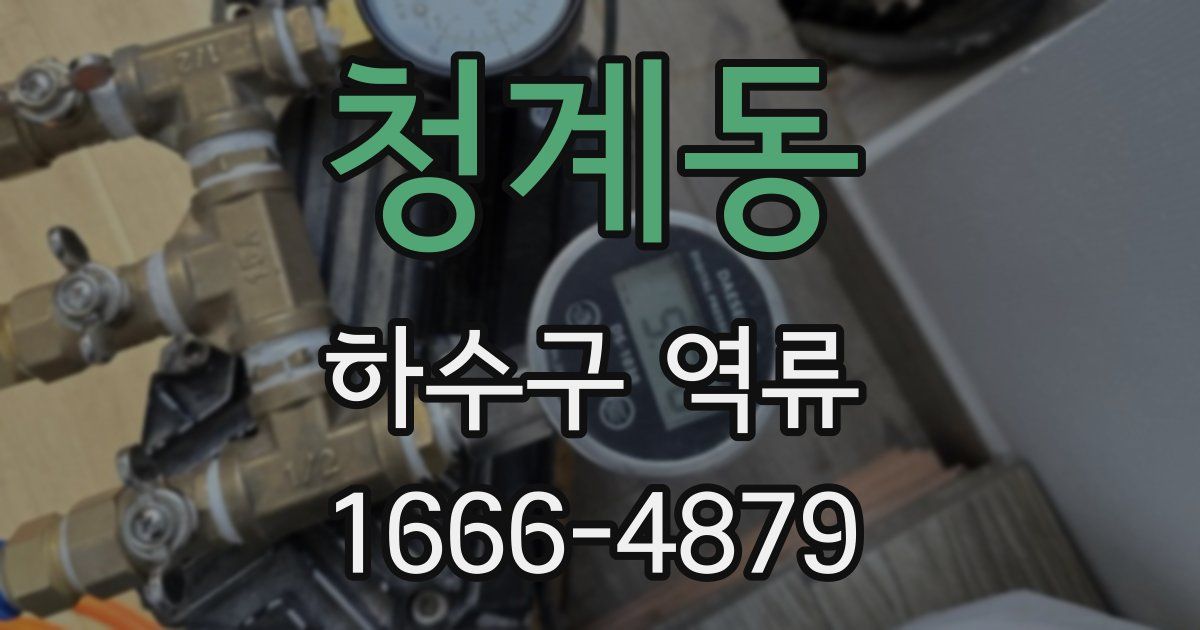 청계동 하수구 역류