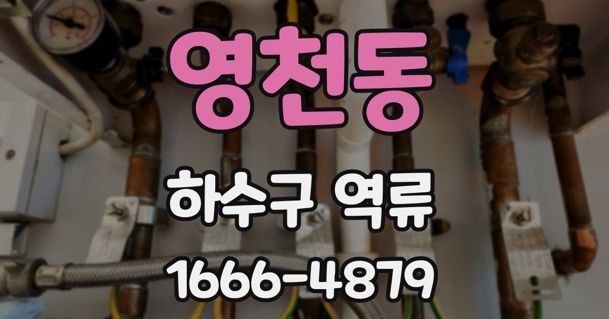 영천동 하수구 역류