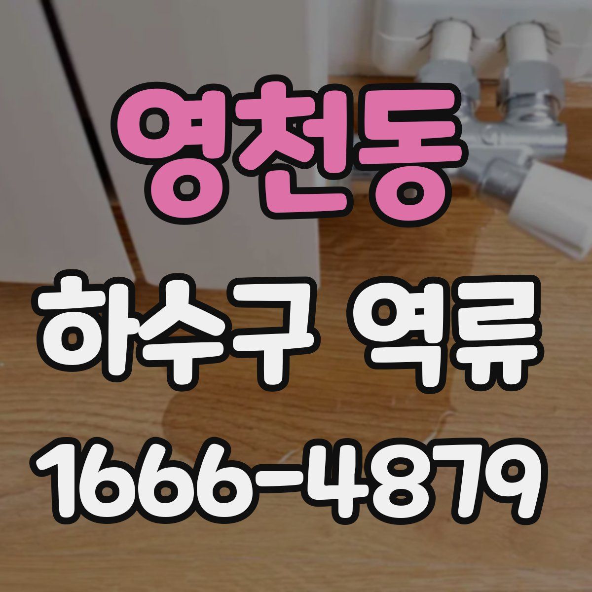 영천동 하수구 역류