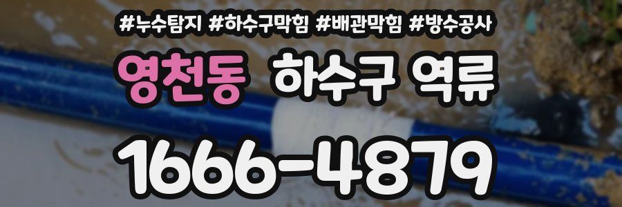 영천동 하수구 역류