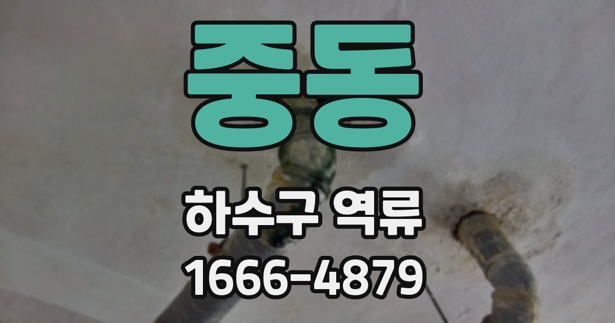 중동 하수구 역류